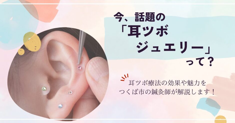 耳ツボブログトップ