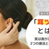 耳ツボルーツブログトップ