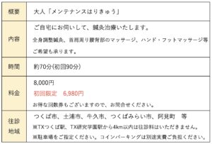 大人はりきゅうプラン表