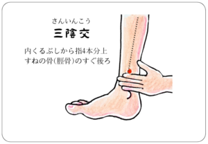三陰交