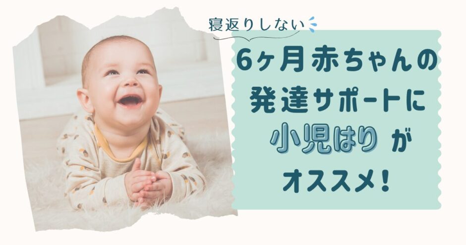 寝返りブログトップ