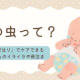疳の虫ブログトップ