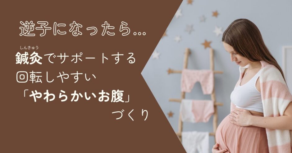 逆子ブログトップ