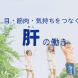 肝ブログトップ
