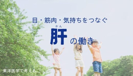 東洋医学でいう「肝」ってなに？目の疲れ・肩こり・イライラとの関係