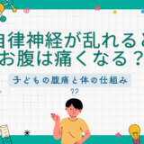 自律神経とお腹２ブログトップ