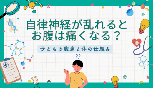 なぜ自律神経が乱れるとお腹が痛くなるの？｜子どもの腹痛と体の仕組み