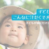 子どもの頭汗ブログトップ